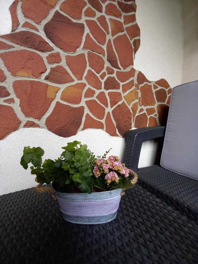 Apartman Erika - Bešeňová 外观 照片