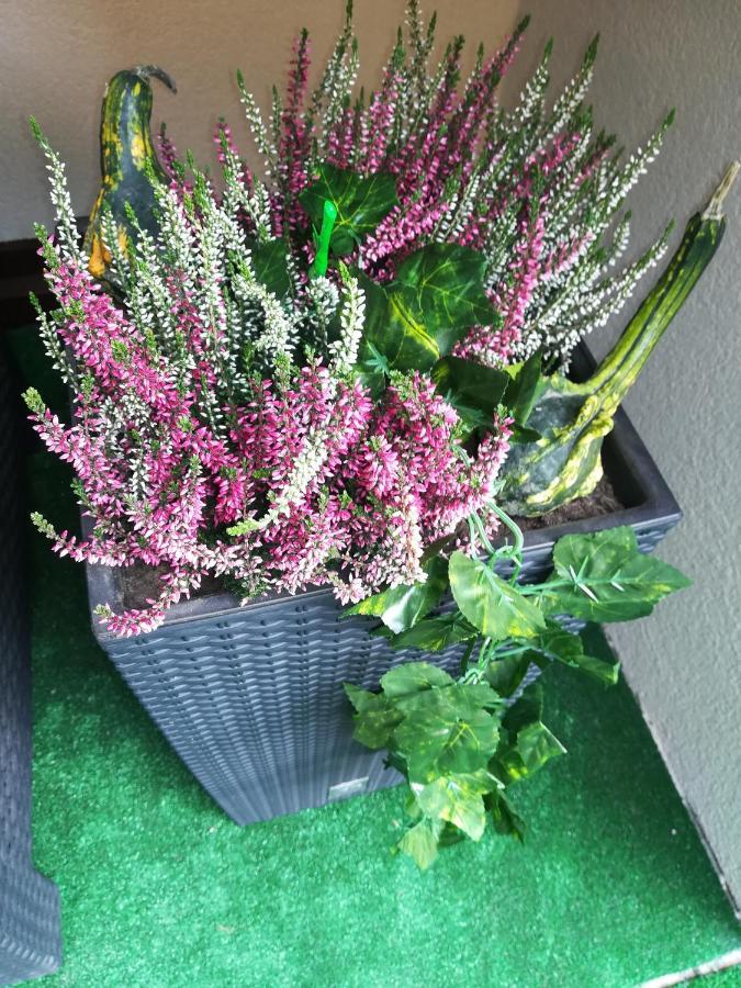 Apartman Erika - Bešeňová 外观 照片